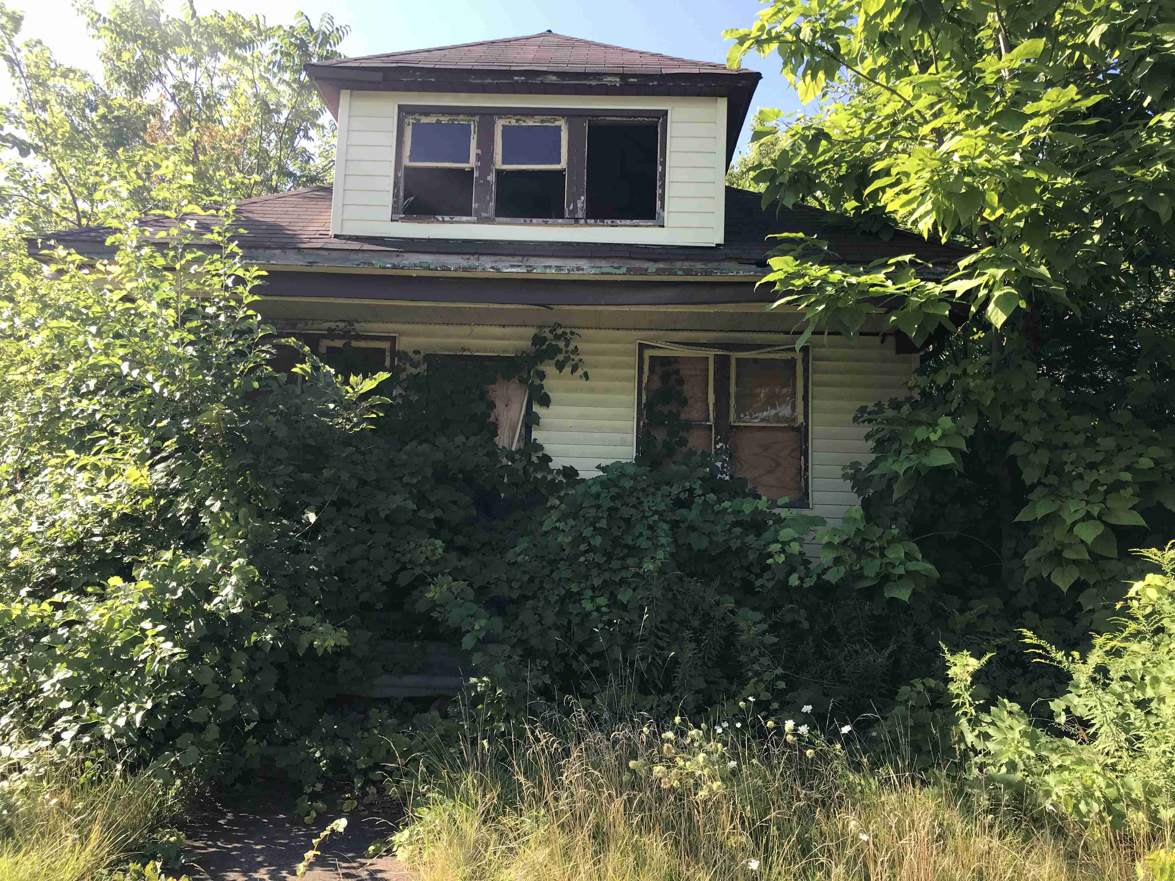 Photo Aug 20, 10 06 55 AM.jpg